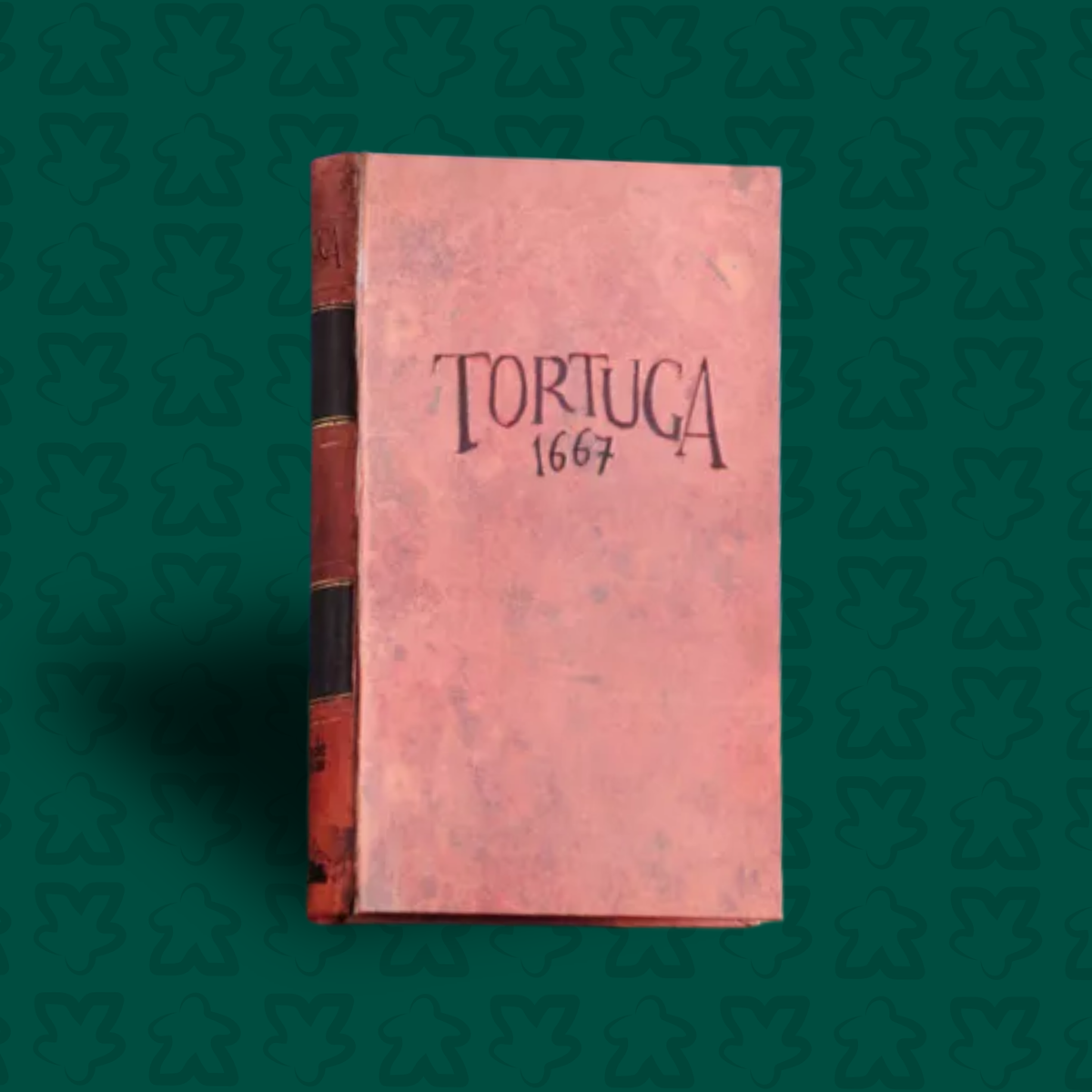 Tortuga 1667